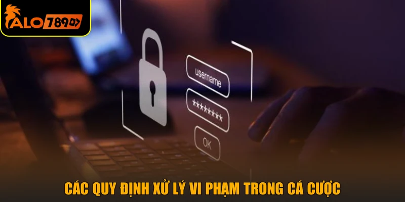 Các quy định xử lý vi phạm trong cá cược